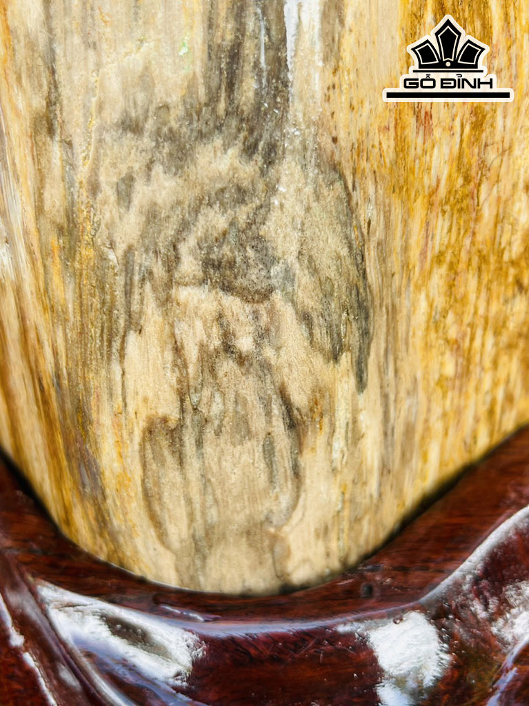 Tác Phẩm Gỗ Hóa Thạch Cao 73 (cm) 23kg