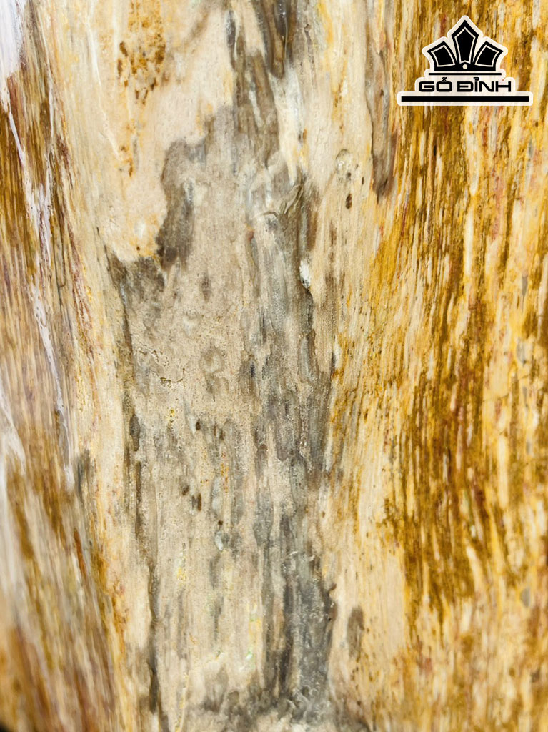 Tác Phẩm Gỗ Hóa Thạch Cao 73 (cm) 23kg