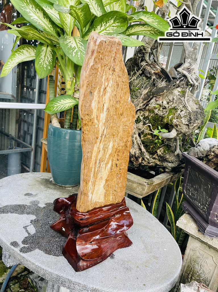 Tác Phẩm Gỗ Hóa Thạch Cao 73 (cm) 23kg