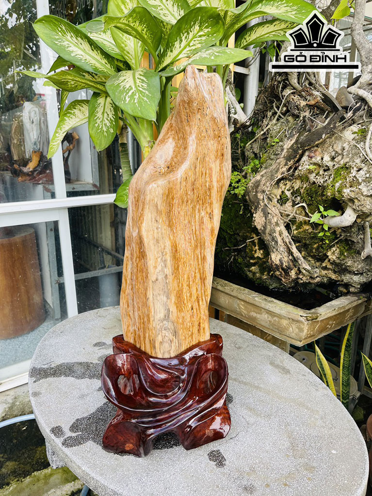 Tác Phẩm Gỗ Hóa Thạch Cao 73 (cm) 23kg