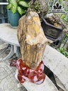 Tác Phẩm Gỗ Hóa Thạch Cao 86 (cm) 54kg