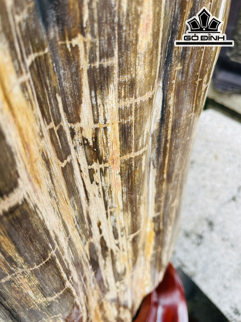 Tác Phẩm Gỗ Hóa Thạch Cao 86 (cm) 54kg