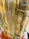 Tác Phẩm Gỗ Hóa Thạch Cao 86 (cm) 54kg