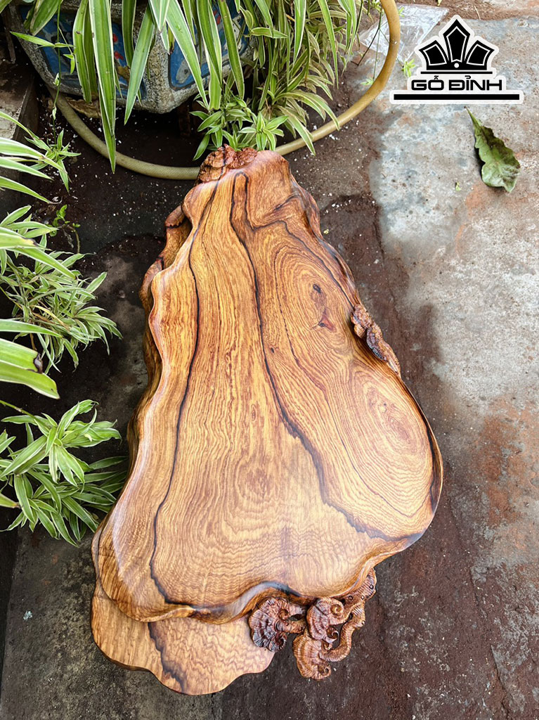 khay-tra-go-cam-cao-7-ngang-68-sau-38-cm-422289