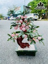 Cây Đào 28 Quả Đá Thạch Anh Hồng Cao 50 (cm)
