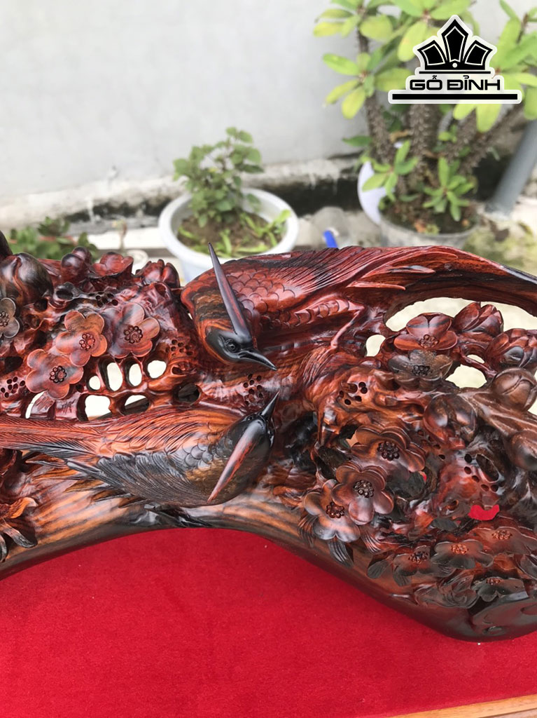 cau-mai-tri-go-trac-cao-23-ngang-52-sau-17-cm-422877