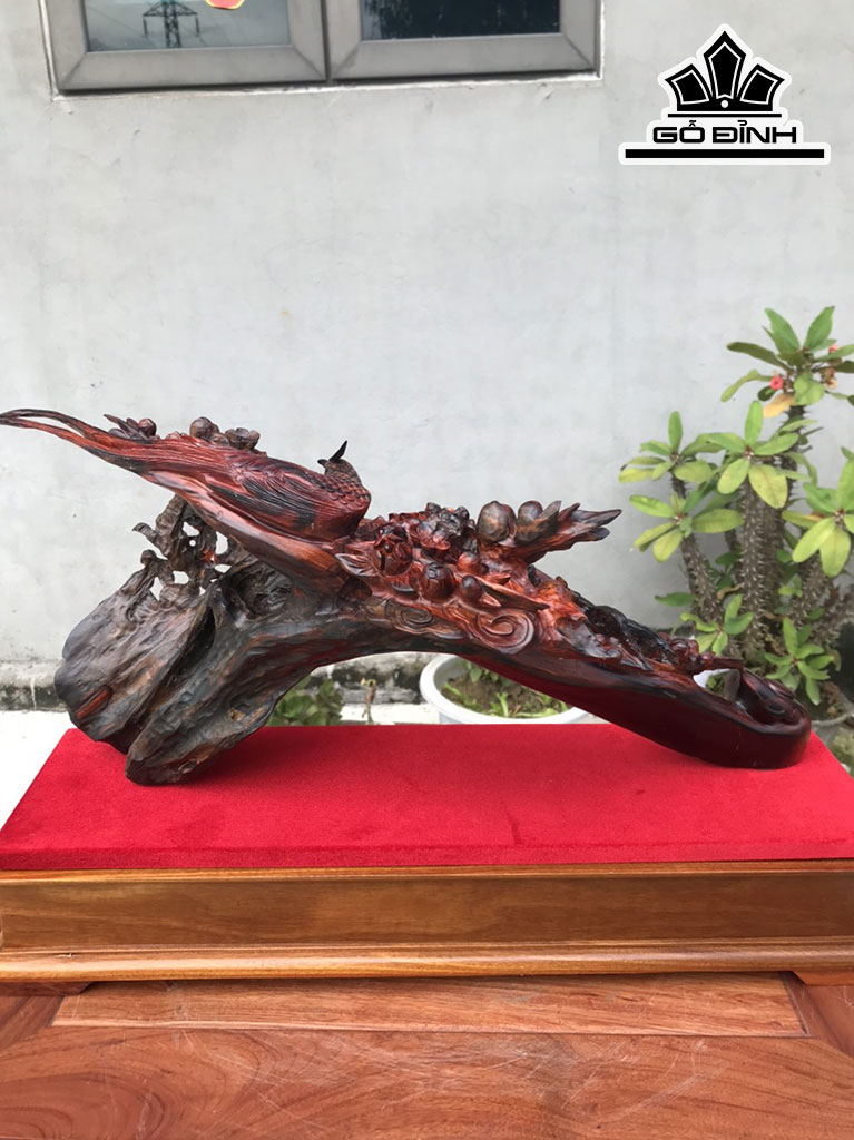 cau-mai-tri-go-trac-cao-23-ngang-52-sau-17-cm-422878