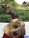 cay-lan-trang-tri-go-huong-cao-50-ngang-35-sau-21-cm-422888