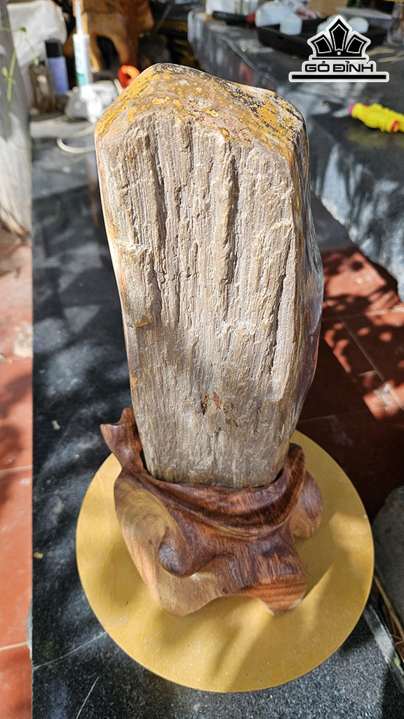 Tác Phẩm Gỗ Hóa Thạch Cao 42 Ngang 14 (cm) 5,5kg