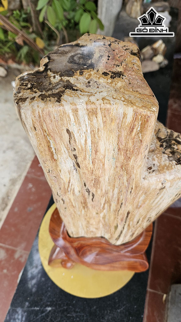 Tác Phẩm Gỗ Hóa Thạch Cao 55 Ngang 20 (cm) 18kg