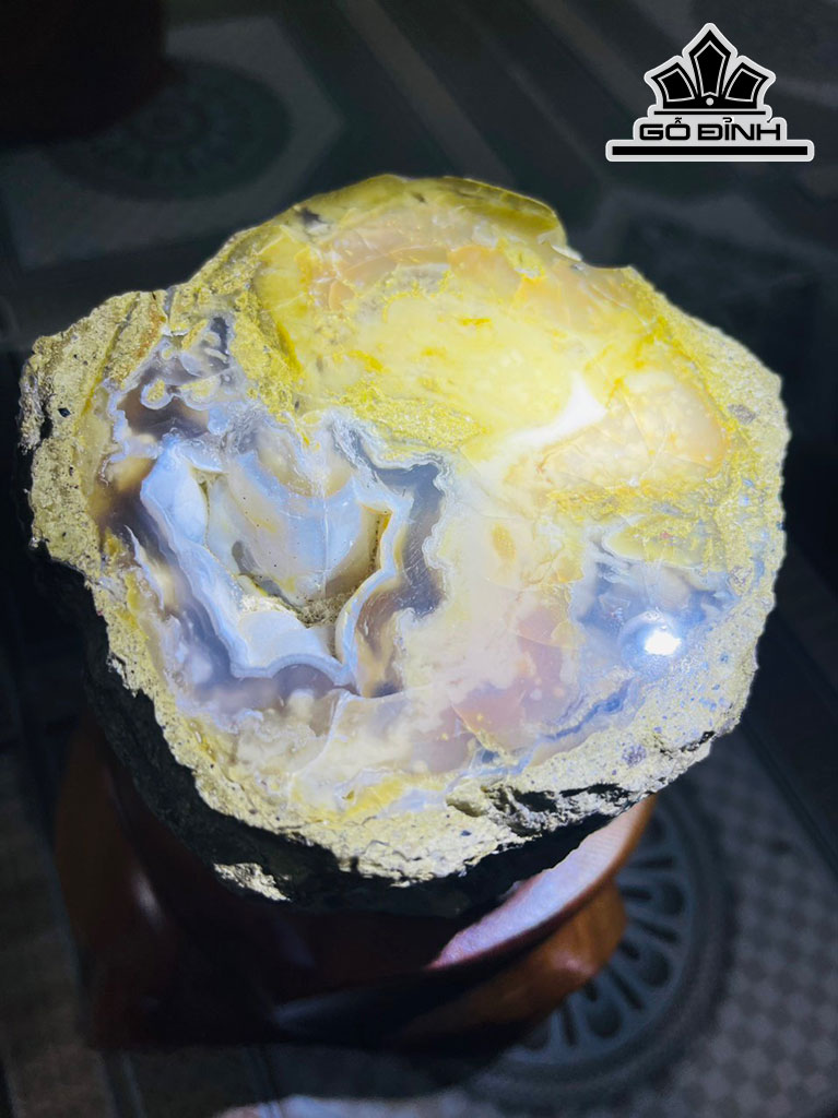 Tác Phẩm Gỗ Hóa Thạch Cao 19 (cm) 2,4kg