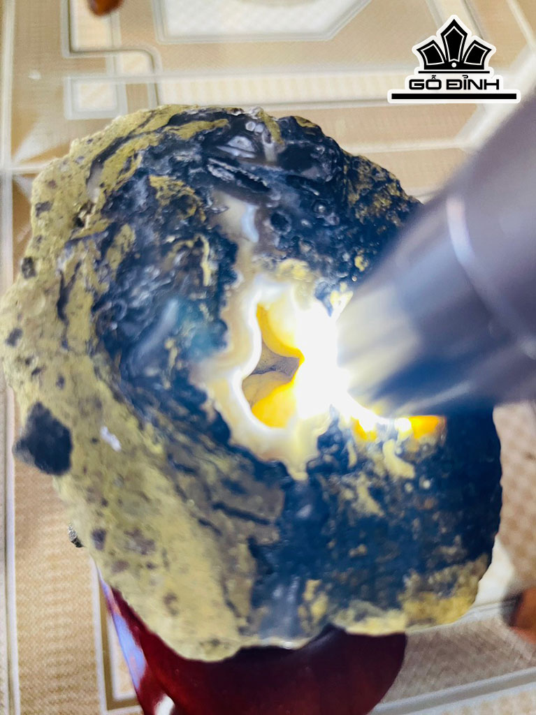 Tác Phẩm Gỗ Hóa Thạch Cao 23 (cm) 2,8kg