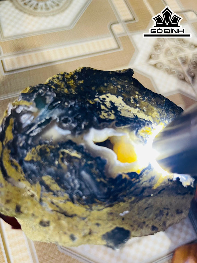 Tác Phẩm Gỗ Hóa Thạch Cao 23 (cm) 2,8kg