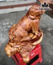 tuong-cho-go-huong-cao-37-ngang-39-sau-28-cm-423682