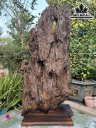 tuong-nhat-tam-bai-phat-go-bach-xanh-cao-98-ngang-48-sau-17-cm-423761