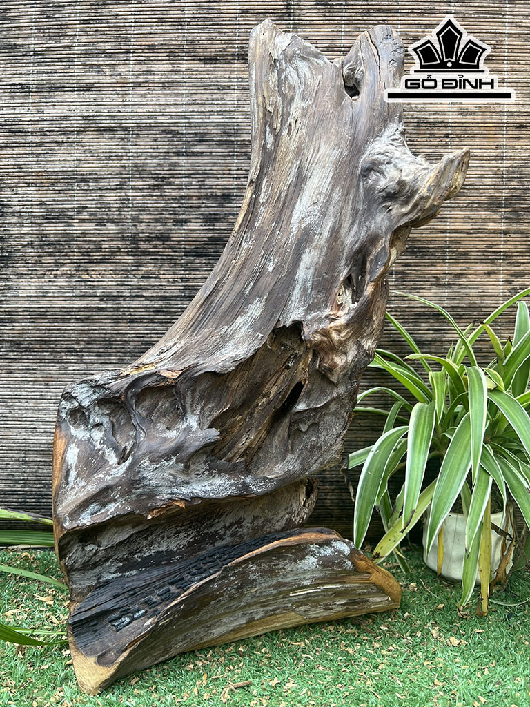 tuong-te-cong-go-bach-xanh-cao-48-ngang-29-sau-11-cm-423864