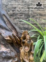 tuong-te-cong-go-bach-xanh-cao-48-ngang-29-sau-11-cm-423865