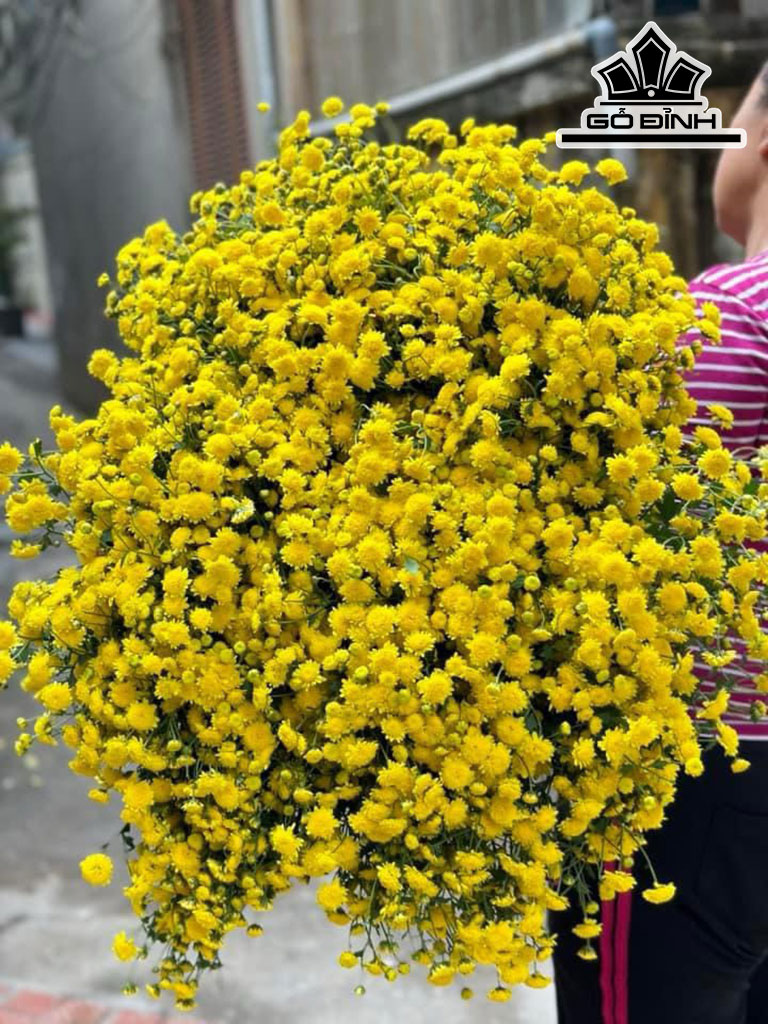 Set Bình Tone Vàng Cắm Cúc Chi Gốm Bát Tràng