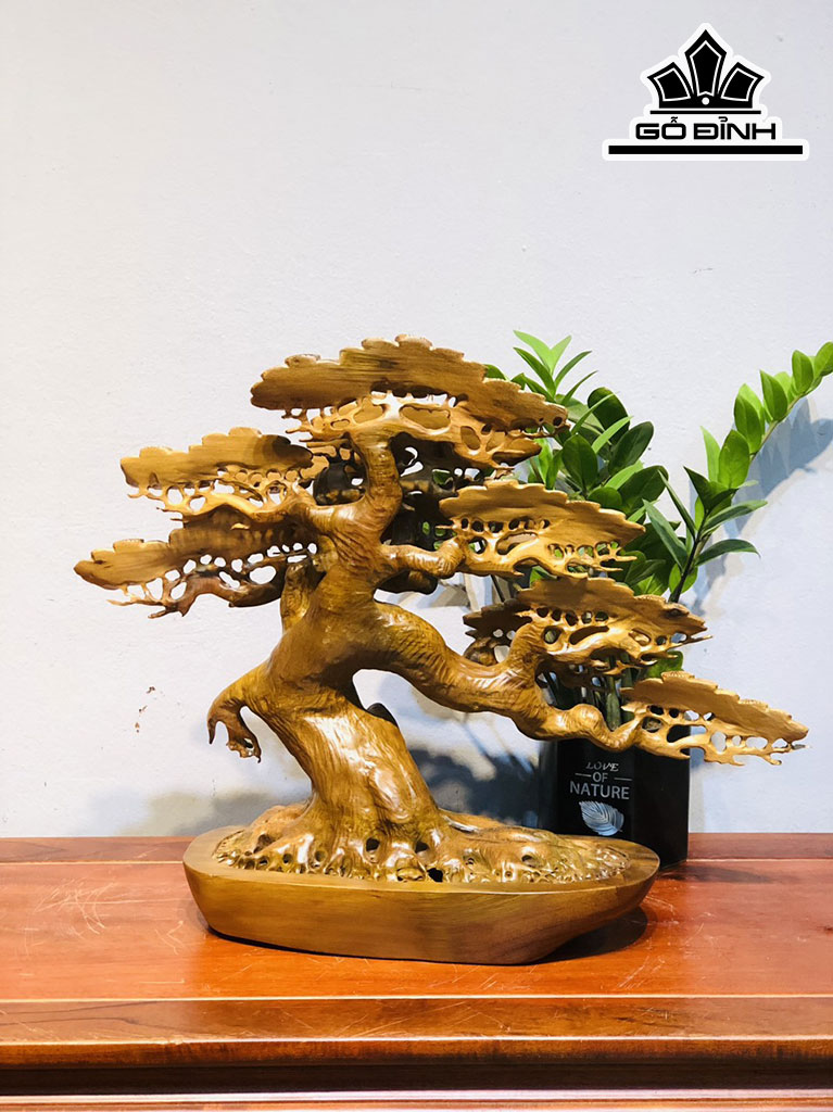 cap-cay-tung-go-bach-xanh-cao-40-ngang-50-sau-18-cm-424531
