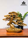 cap-cay-tung-go-bach-xanh-cao-40-ngang-50-sau-18-cm-424531