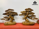 cap-cay-tung-go-bach-xanh-cao-40-ngang-50-sau-18-cm-424532