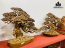 cap-cay-tung-go-bach-xanh-cao-40-ngang-50-sau-18-cm-424533