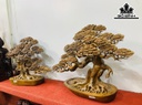 cap-cay-tung-go-bach-xanh-cao-40-ngang-50-sau-18-cm-424534
