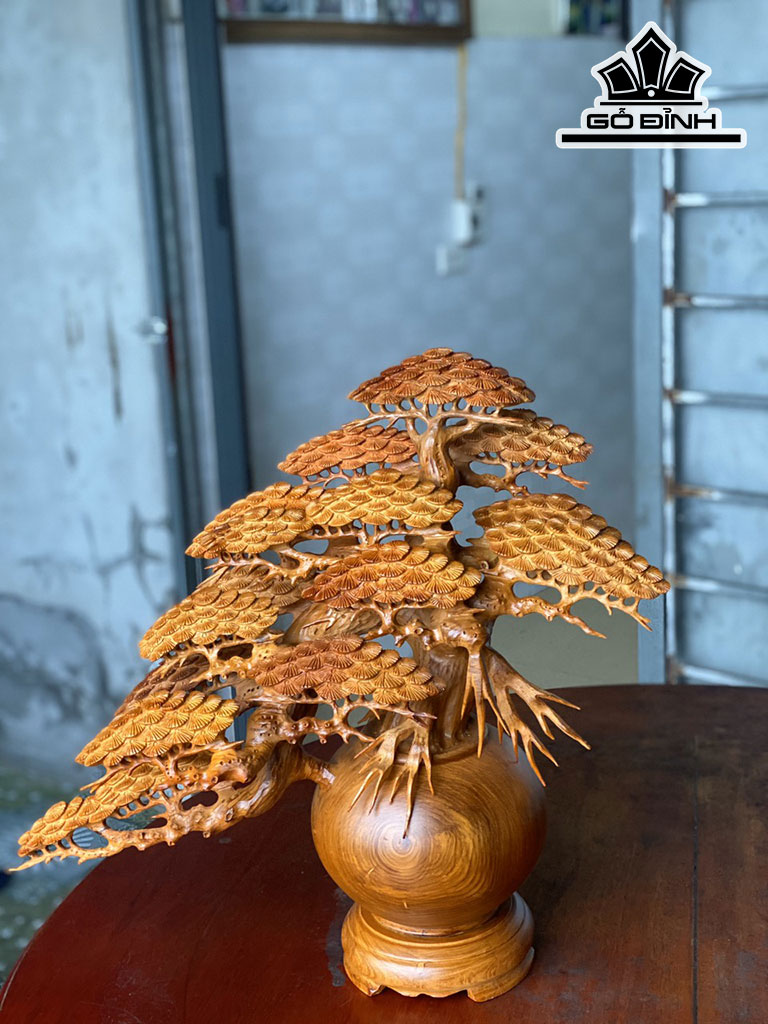 binh-tung-bonsai-go-huong-cao-50-ngang-50-sau-23-duong-kinh-binh-20-cm-424686