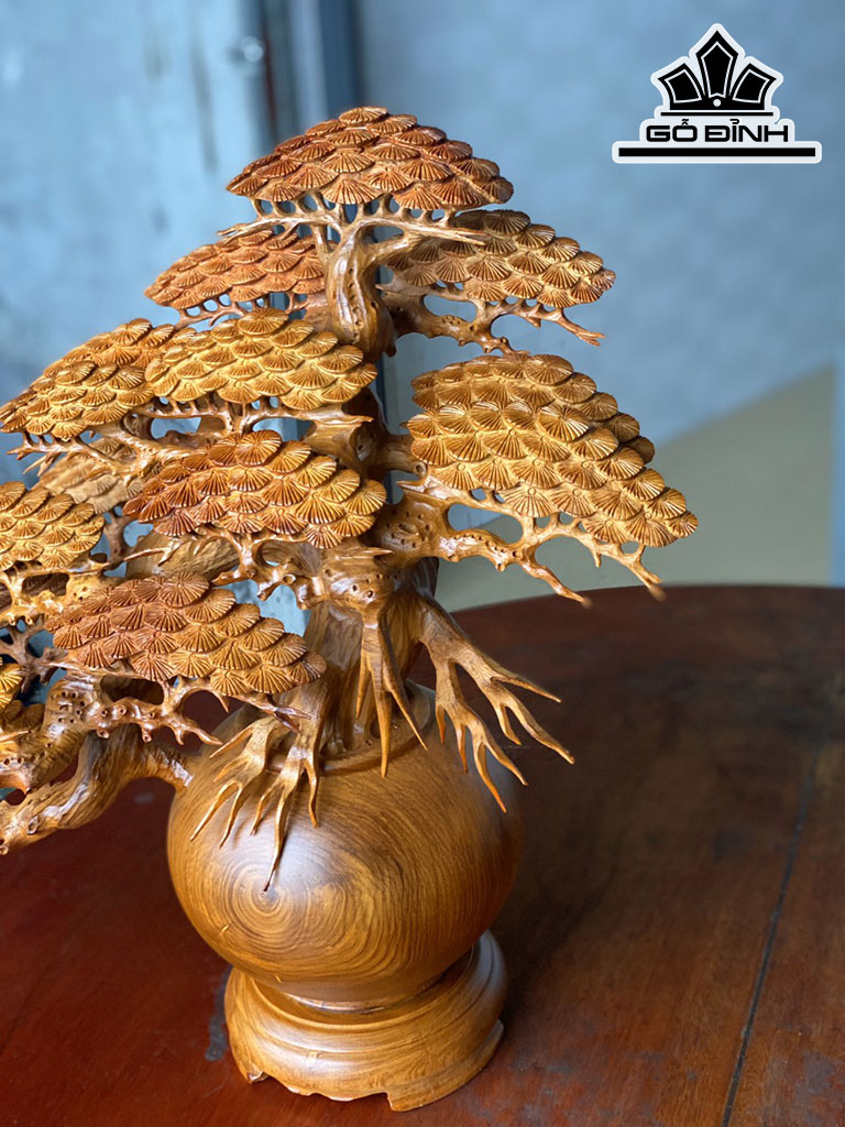 binh-tung-bonsai-go-huong-cao-50-ngang-50-sau-23-duong-kinh-binh-20-cm-424687
