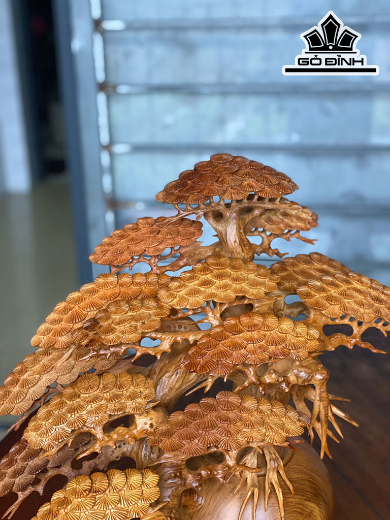 binh-tung-bonsai-go-huong-cao-50-ngang-50-sau-23-duong-kinh-binh-20-cm-424688