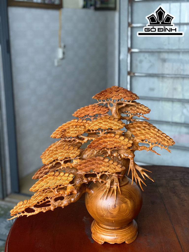 binh-tung-bonsai-go-huong-cao-50-ngang-50-sau-23-duong-kinh-binh-20-cm-424689