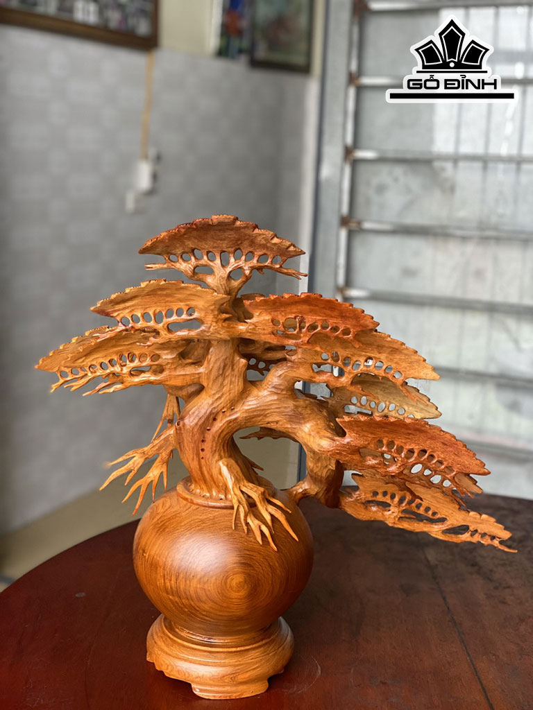 binh-tung-bonsai-go-huong-cao-50-ngang-50-sau-23-duong-kinh-binh-20-cm-424690