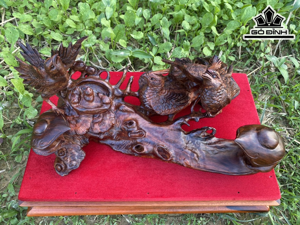 cau-nhu-y-chim-dieu-go-sua-cao-15-ngang-35-sau-19-cm-424696