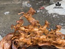Tượng Mã Đáo Thành Công Gỗ Hương Cao 38 Ngang 58 Sâu 20 (cm)