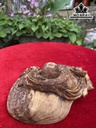 tuong-phat-di-lac-go-nu-ngoc-am-cao-7-ngang-17-sau-13-cm-424905