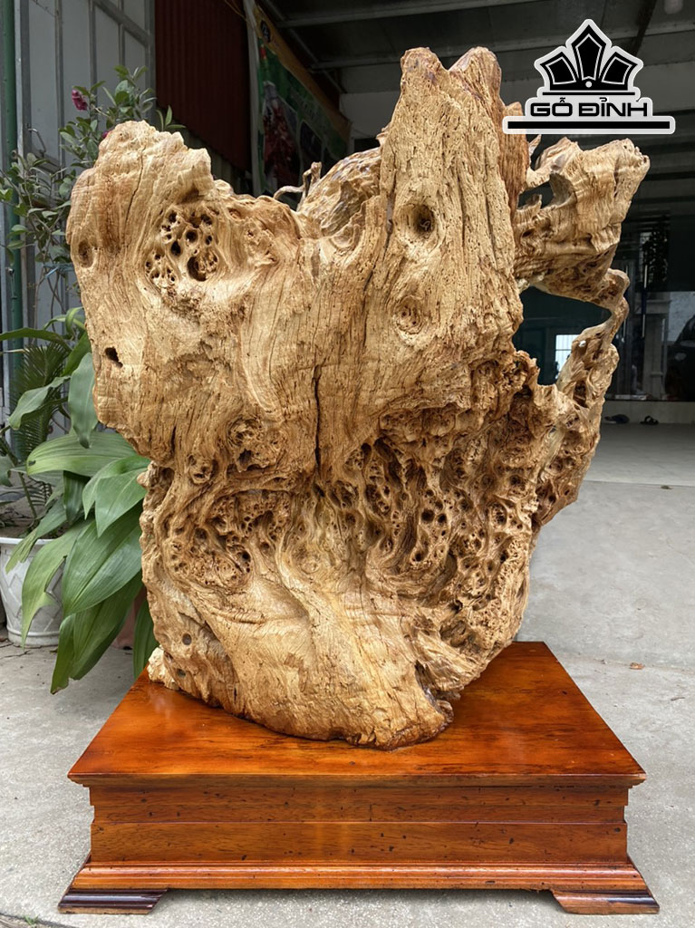 tuong-thanh-long-bach-ho-go-nu-ngoc-nghien-cao-ca-ky-90-ngang-66-sau-38-cm-424946