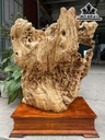 tuong-thanh-long-bach-ho-go-nu-ngoc-nghien-cao-ca-ky-90-ngang-66-sau-38-cm-424946