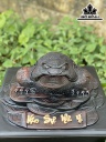 tuong-thiem-thu-tai-loc-go-trac-cao-ca-ky-24-ngang-35-sau-35-cm-424955