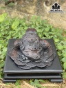 tuong-thiem-thu-tai-loc-go-trac-cao-ca-ky-24-ngang-35-sau-35-cm-424957