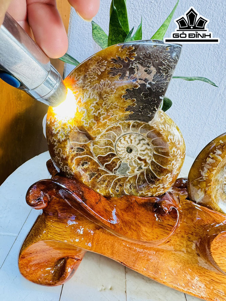 Cặp Ốc Anh Vũ Hóa Ngọc Cao 20 Ngang 27 (cm) 1,7kg