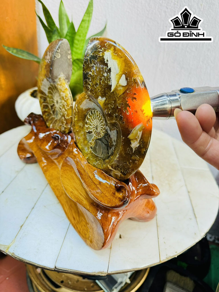 Cặp Ốc Anh Vũ Hóa Ngọc Cao 20 Ngang 27 (cm) 1,7kg