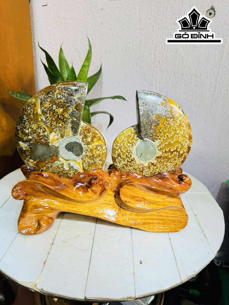 Cặp Ốc Anh Vũ Hóa Ngọc Cao 20 Ngang 27 (cm) 1,7kg