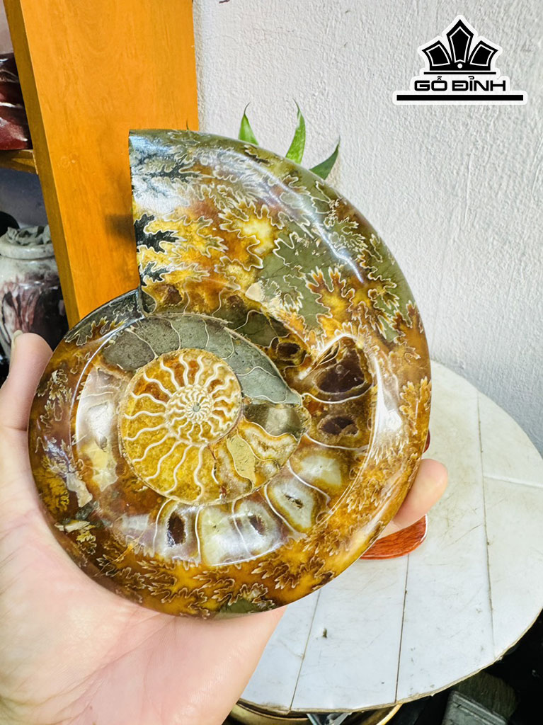 Tác Phẩm Ốc Anh Vũ Hóa Ngọc Cao 24 Ngang 15 (cm) 2,1kg