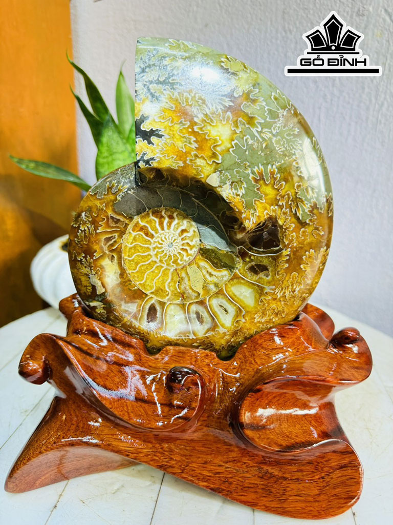 Tác Phẩm Ốc Anh Vũ Hóa Ngọc Cao 24 Ngang 15 (cm) 2,1kg