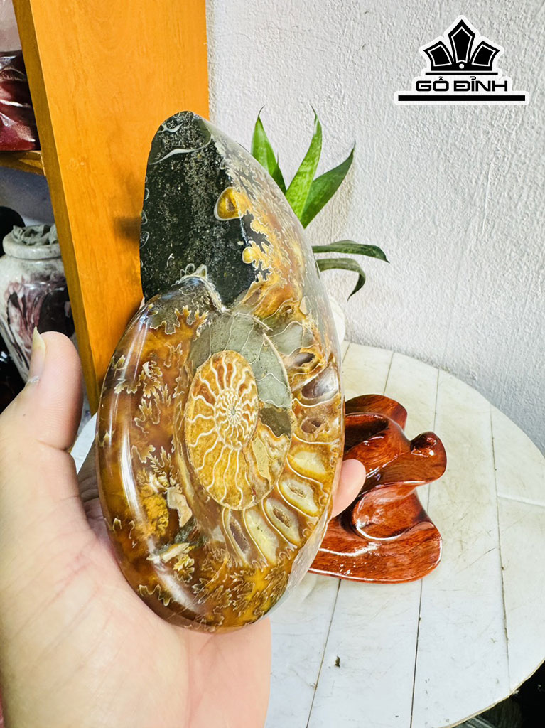Tác Phẩm Ốc Anh Vũ Hóa Ngọc Cao 24 Ngang 15 (cm) 2,1kg