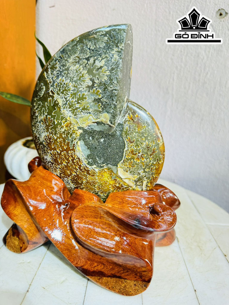 Tác Phẩm Ốc Anh Vũ Hóa Ngọc Cao 24 Ngang 15 (cm) 2,1kg