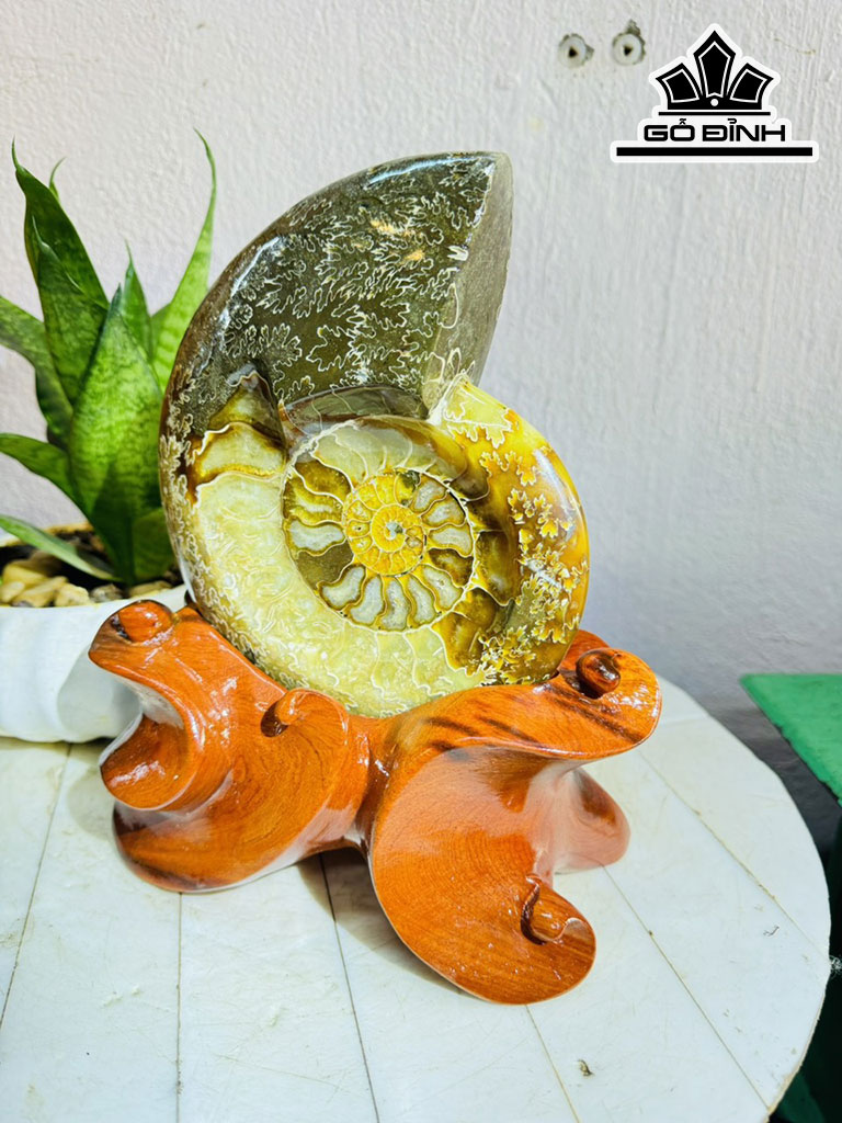 Tác Phẩm Ốc Anh Vũ Hóa Ngọc Cao 25 Ngang 15 (cm) 2,1kg