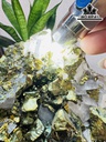 Vàng Găm Tinh Thể Đá Pyrite Cao 20 Ngang 16 (cm) 3,2kg
