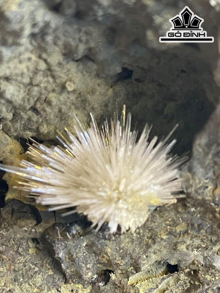 Bông Hoa Ưu Đàm Đá Trầm Tích Cao 25 (cm) 3kg