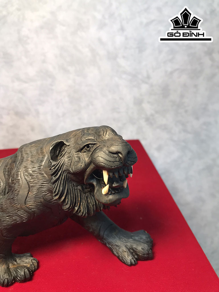 tuong-ho-san-moi-go-mun-sung-cao-12-ngang-34-sau-9-cm-425434